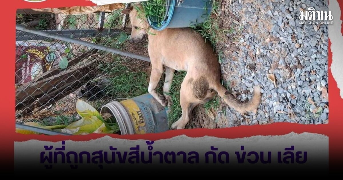 โคราช แจ้งเตือนสุนัขจรติดเชื้อบ้าพื้นที่รอยต่อเขต ชาย 54 ปี ติดเชื้อตาย