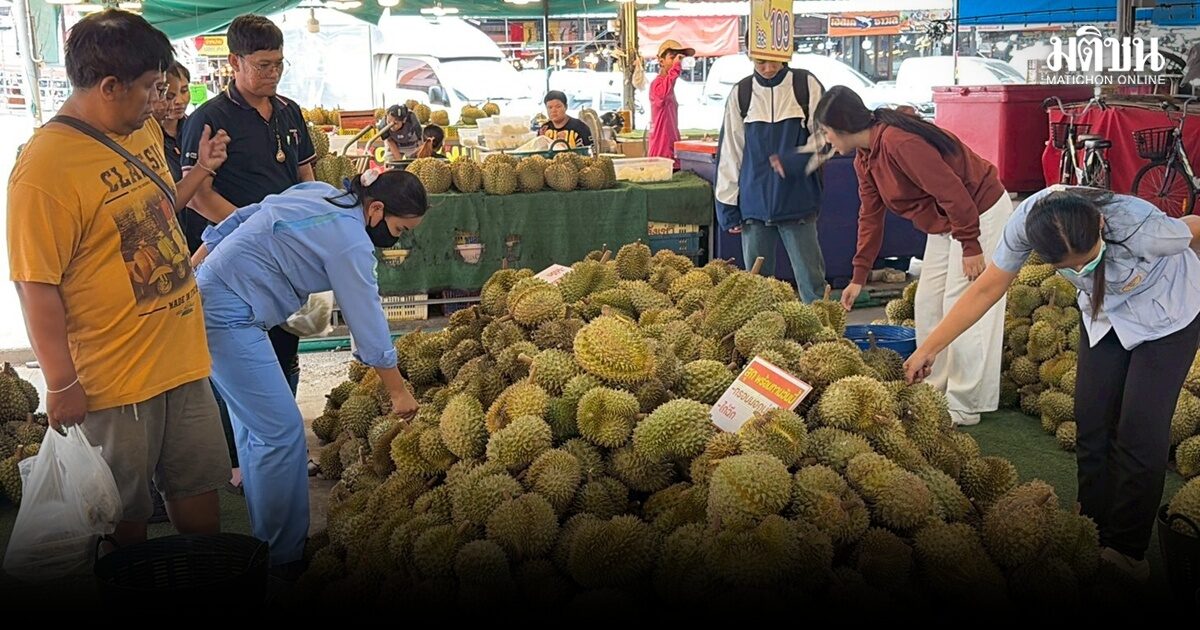 แม่ค้าสาว โคราช เปิดโปรฯขายทุเรียนลูกละ 19 บาท ผู้บริโภคได้กินราคาถูก