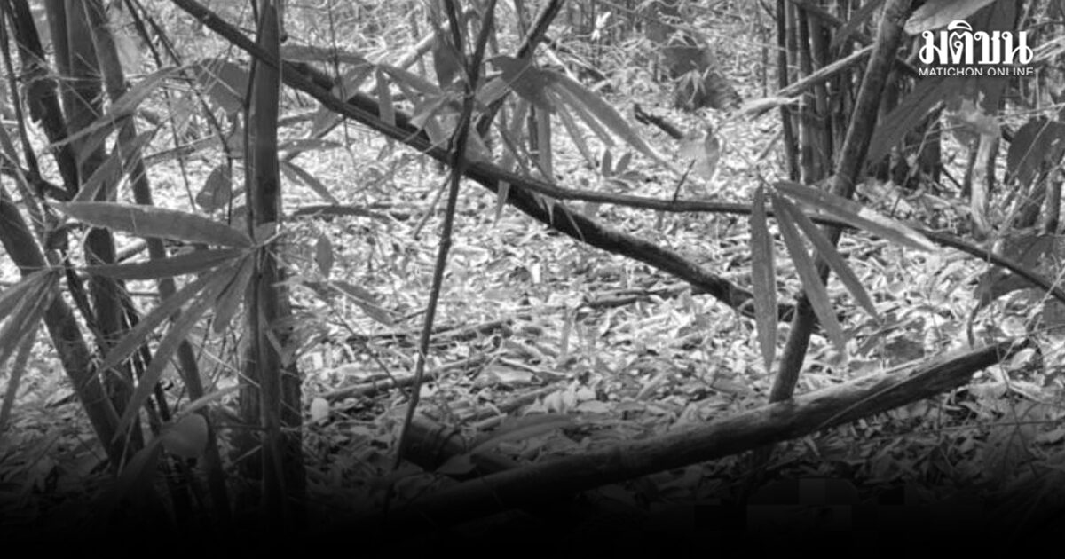 สุดเศร้า! ชาวบ้านอาสาสมัครดับไฟป่า เสียชีวิตขณะปฏิบัติหน้าที่ กลางดอยแม่ริม