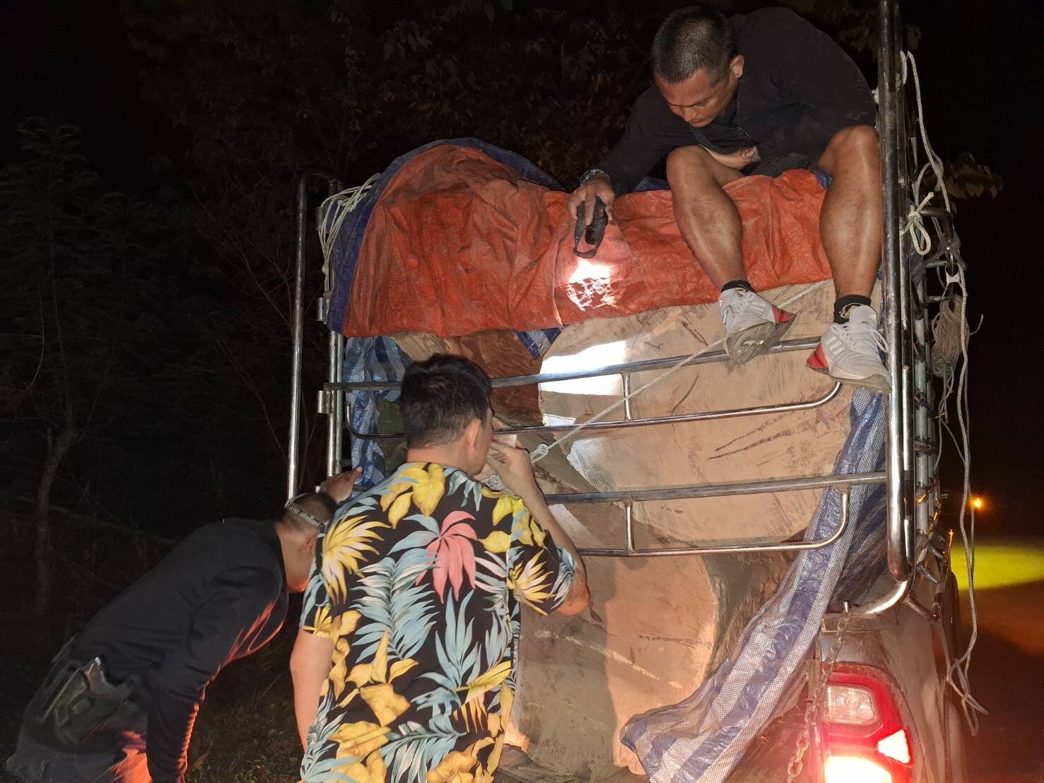 ลอบขนไม้ประดู่
