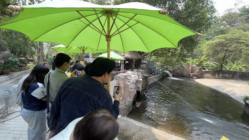 สวนสัตว์