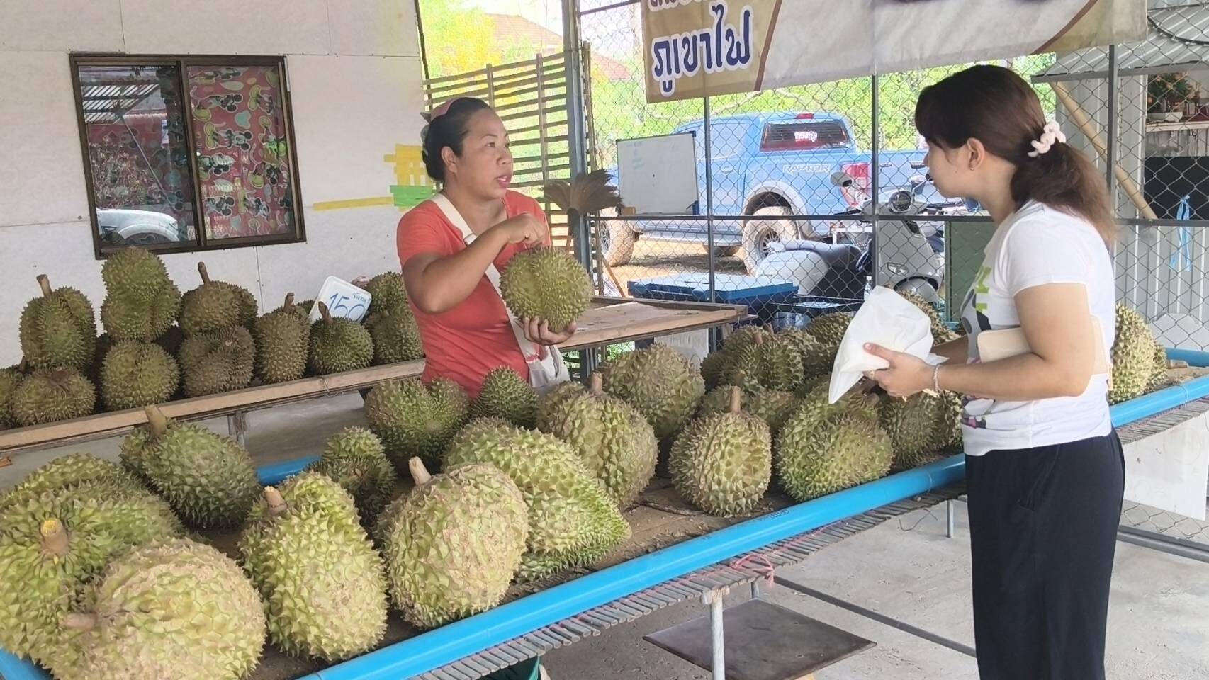 ซื้อทุเรียนลุ้นทอง