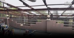 พายุฤดูร้อน