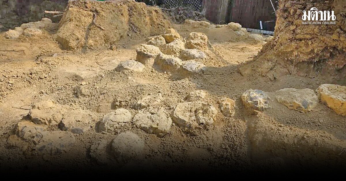 ไข่ไดโนเสาร์