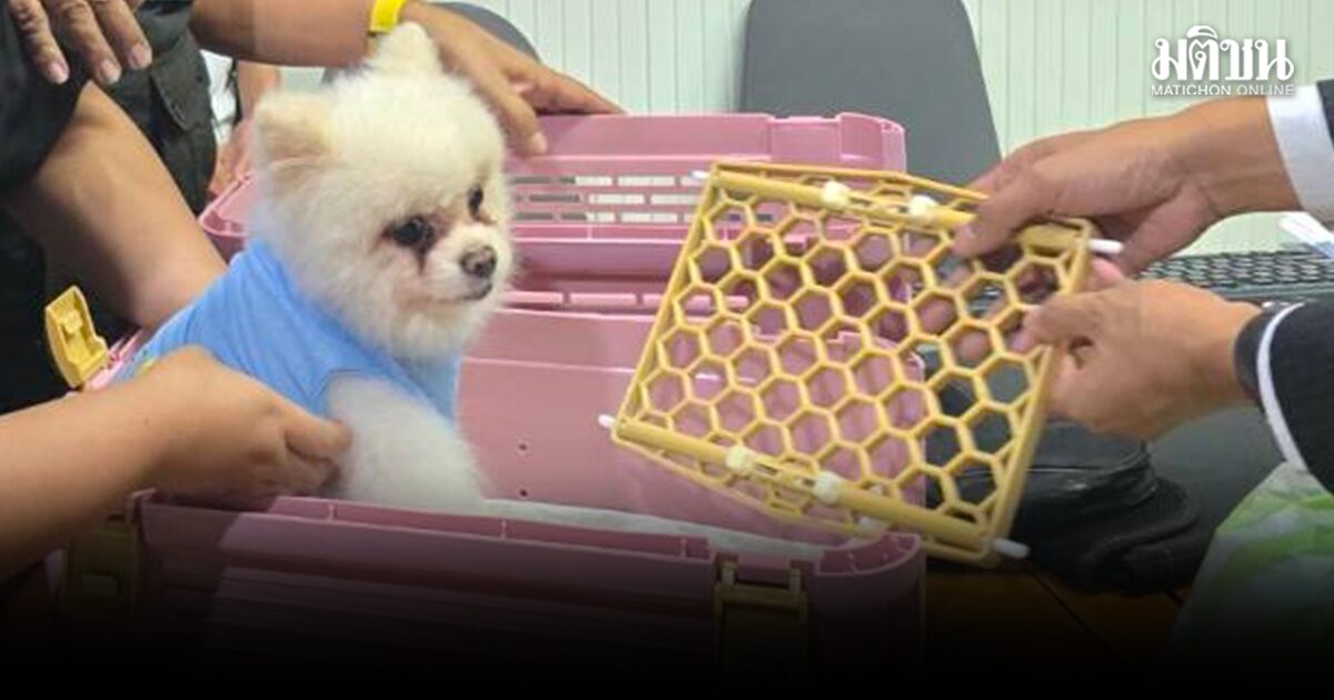 จบดราม่า น้องกะทิ สุนัขปอมฯ เจ้าของร่ำไห้ รับคืนสู่อ้อมกอด ถอนทุกคดีแพ่ง-อาญาที่มีต่อกันทั้งหมด