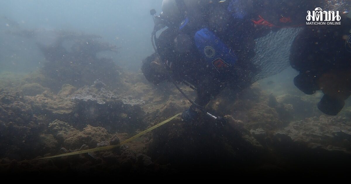 อุทยานพีพีสำรวจปะการังอ่าวนาง สีซีดจางลง 20 % อาจเกิดปะการังฟอกขาว