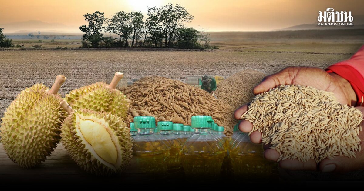 ‘เอลนีโญ’ วิกฤตลูกใหม่เศรษฐกิจไทย  5 พืชเสี่ยงผลผลิตวูบ 2.3 แสนล้าน