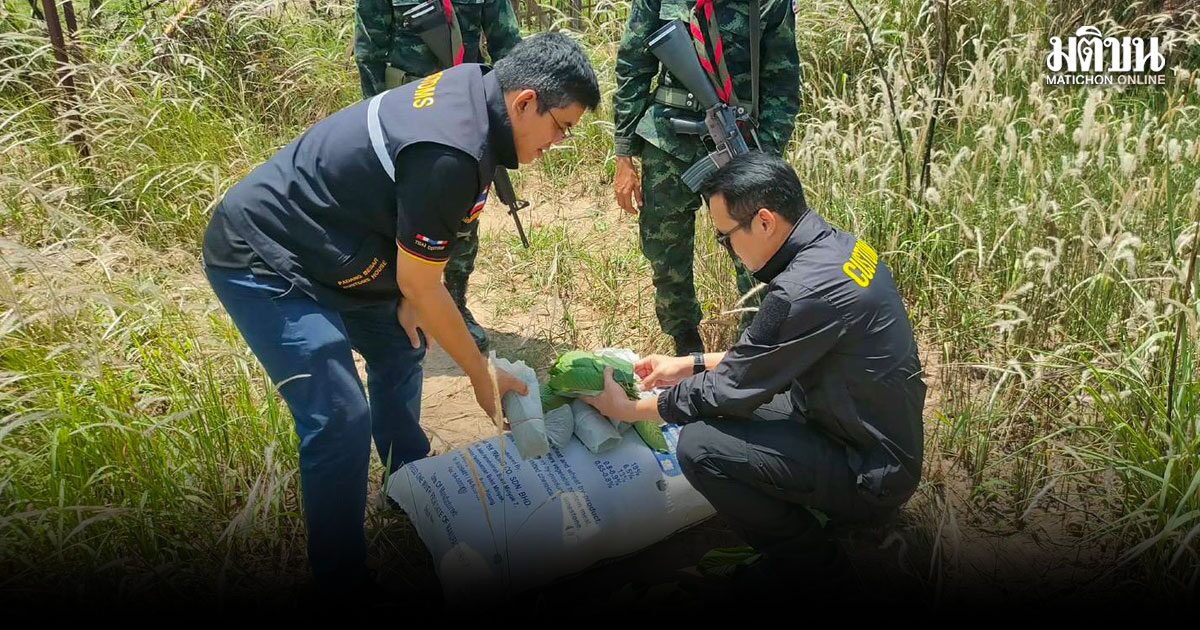 สกัดกระท่อมเถื่อน 150 กก. ลอบขนข้ามชายแดนไทย–มาเลย์ เตรียมส่งขายสงขลา