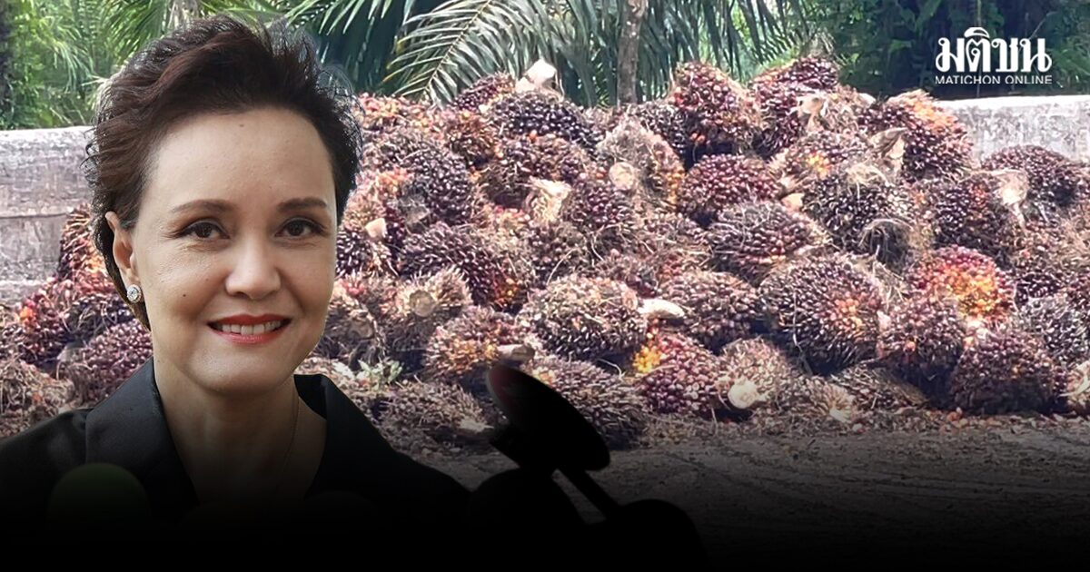 ปาล์มตรัง อัดรัฐแก้ปัญหารายวัน ราคาร่วงหนัก ท้า“ศุภจี”ลงพื้นที่