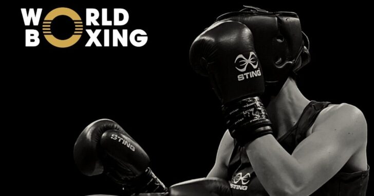 world boxing 2