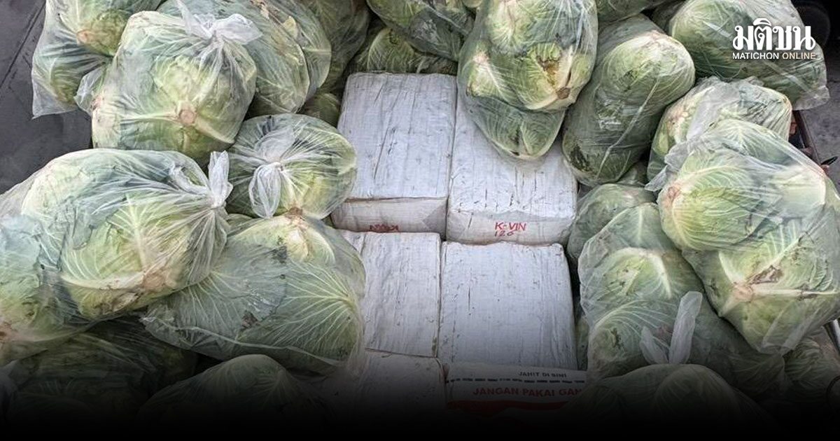 สกัดกะหล่ำ ลอบขนยาเสพติด 1.6 ตัน รับค่าจ้างครั้งแสน อ้างหาเงินรักษาลูกป่วย