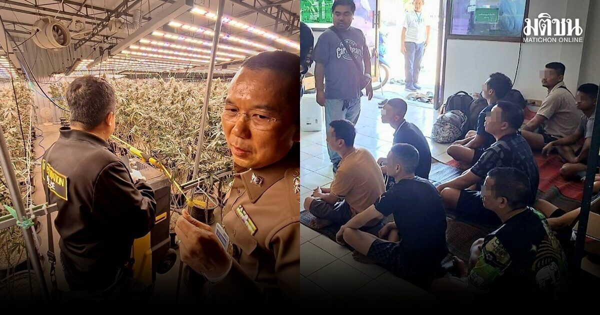 ตำรวจบุกโกดัง ลักปลูก-ผลิตสารสกัดกัญชา จับต่างด้าวชาวเวียดนาม 7 ราย ไร้ใบอนุญาตทำงาน