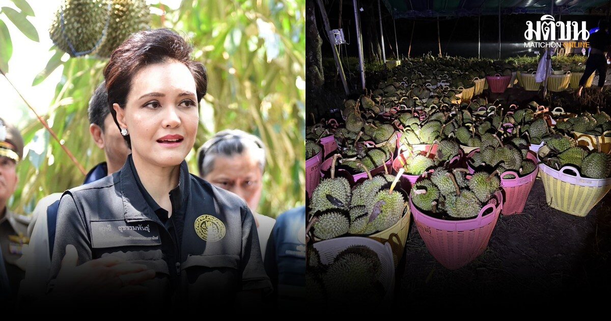 ศุภจี ไม่ทิ้งเกษตรกร สั่งพณ.พาผู้ซื้อไปรับทุเรียนจากสวน หลังพายุเข้าจันทบุรี จ่อแปรรูป เพิ่มมูลค่า