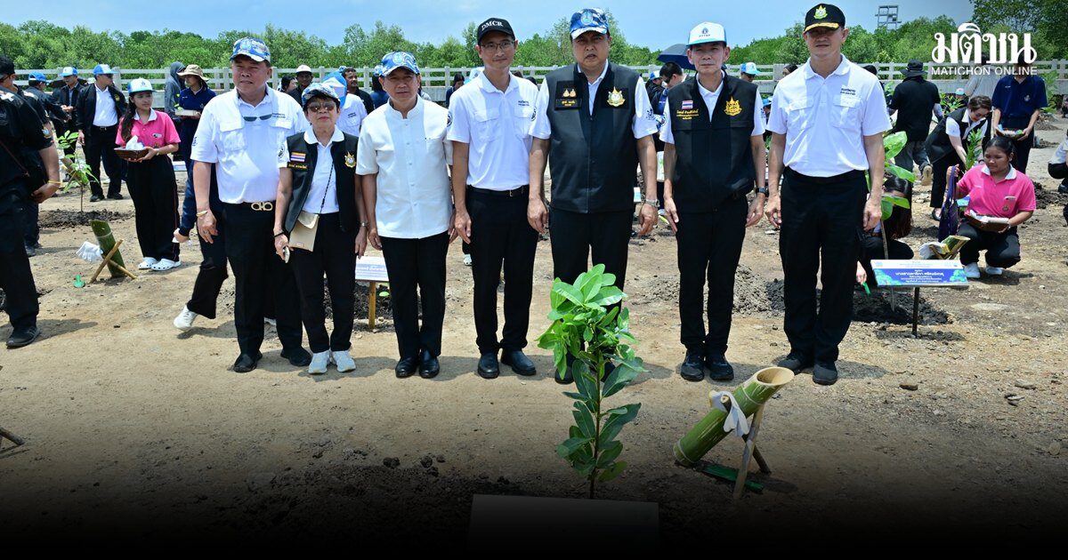 ทส.ชู ป่าชายเลนทรัพยากรเชิงยุทธศาสตร์ กุญแจสำคัญในการบรรลุ ปล่อยก๊าซเรือนกระจกเป็นศูนย์