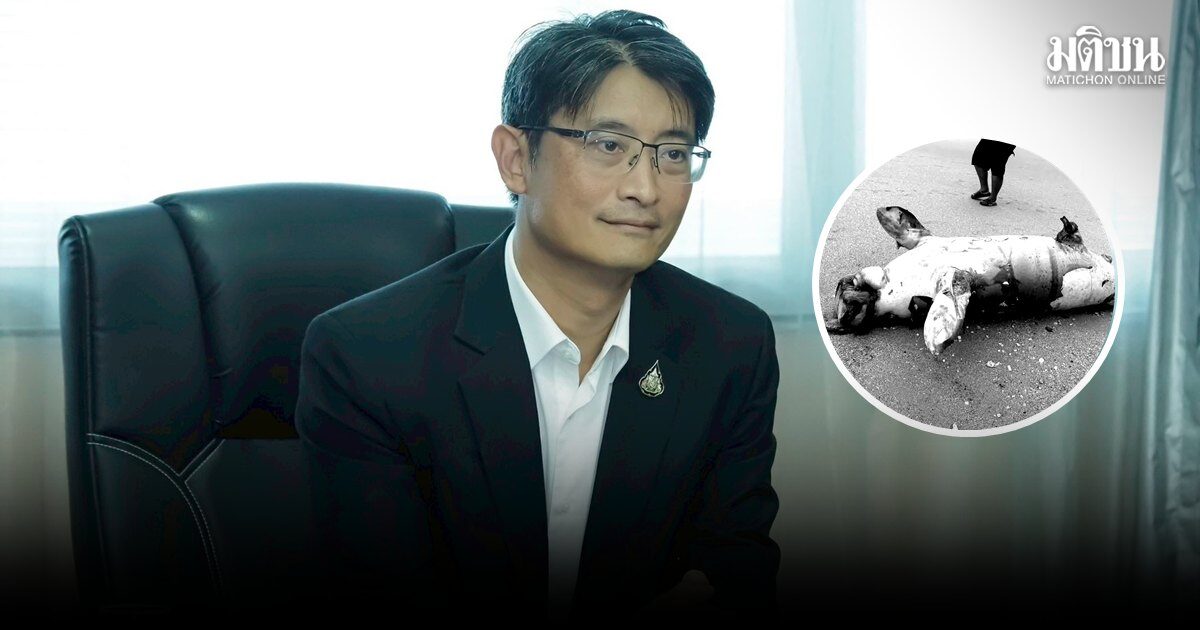 กรมทะเล เผยผล ชันสูตรซากพะยูนเกยตื้น จ.พังงา คาดตายเฉียบพลัน