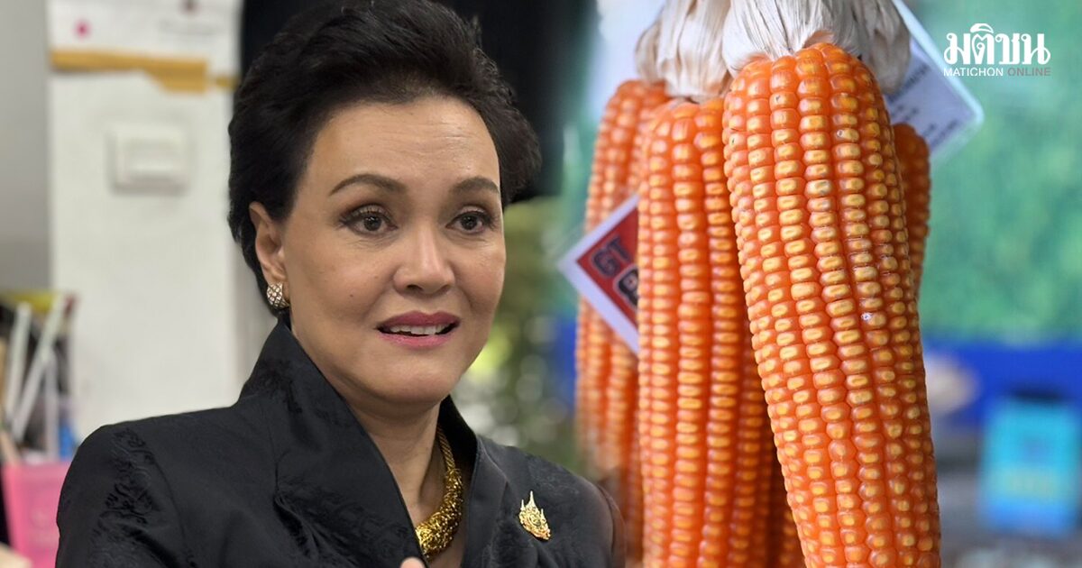 ศุภจี ยัน เอกชนเซ็น MOU นำเข้าข้าวโพด GMO สหรัฐฯ 1 ล้านตัน ไม่กระทบเกษตรกรไทย