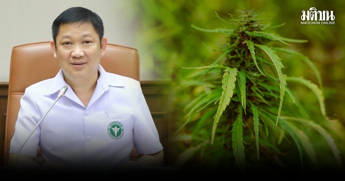กรมแผนไทยฯ เผยยอด ‘บัดเทนเดอร์’ ผ่านอบรมแล้วกว่า 4,000 คน ชี้ใช้กฎใหม่ยกระดับมาตรฐาน ‘กัญชา’ ทางการแพทย์