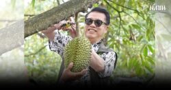 ตัดทุเรียน กระจิบข่าวมีโอกาสลงพื้นที่สวนทุเรียน