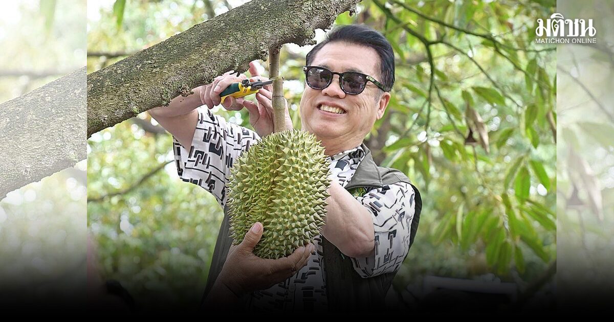 ตัดทุเรียน