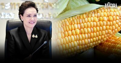 ข้าวโพด
