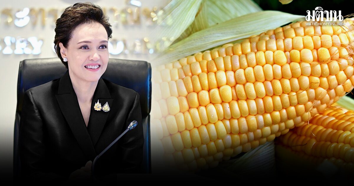 ข้าวโพด