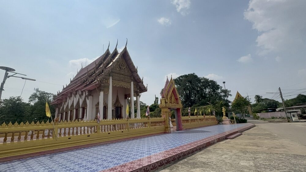  พบเชื้อไวรัสโคโรนาสายพันธุ์ใหม่ในตัวค้างคาวไทย