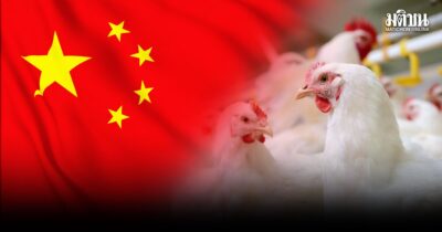 ร่างพิธีสารส่งออกไก่ไทยฉบับใหม่