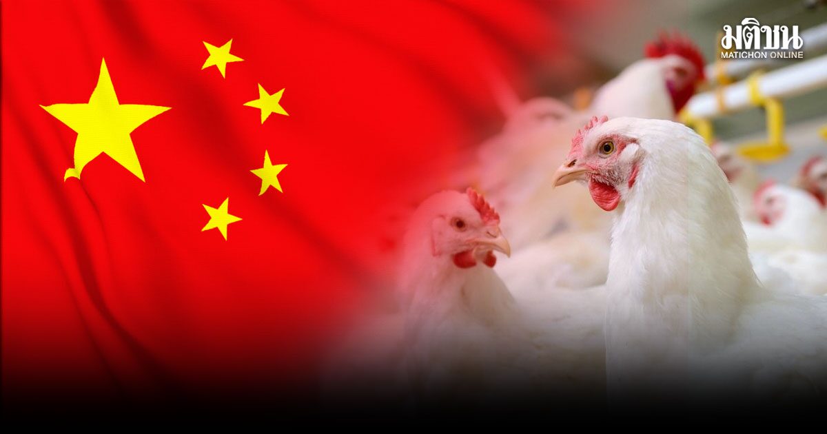ร่างพิธีสารส่งออกไก่ไทยฉบับใหม่