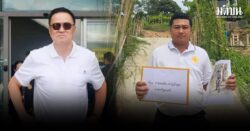 หาดฟรีดอม