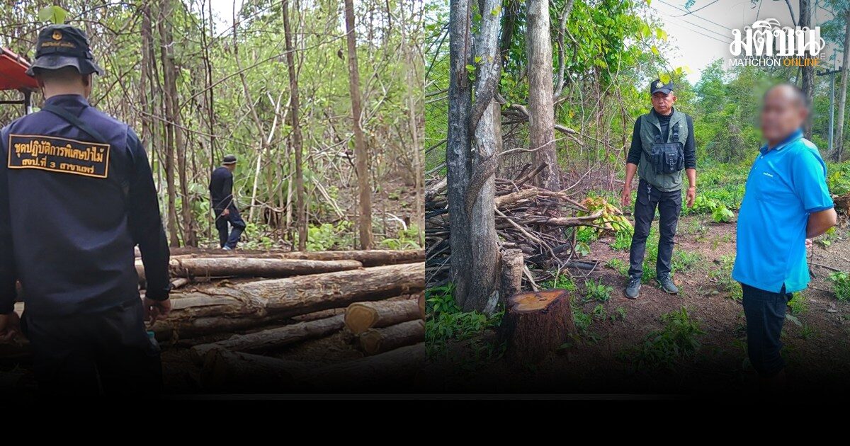 บุกรวบกำนัน จ.แพร่ คาบ้านไม้หรู รุกป่าสงวนกว่า 30 ไร่ ซุกไม้เถื่อนเพียบ เตรียมยื่นศาลรื้อถอนบ้าน