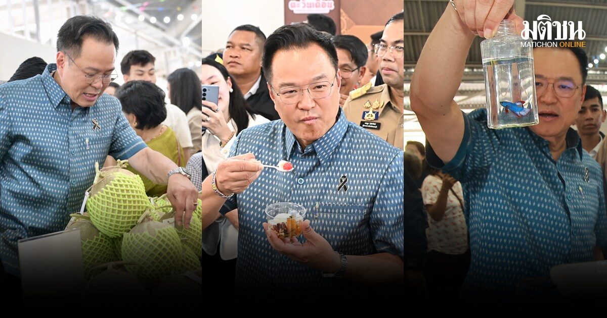 นายกฯช้อปกระจาย ไทยช่วยไทยคิกออฟวันแรก โฟนอิน 4 จว. บอกผู้ว่าฯเหมามาเยอะๆ ส.ส.ปชน.โผล่ร่วมด้วย