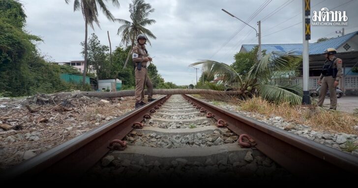 มะพร้าว01