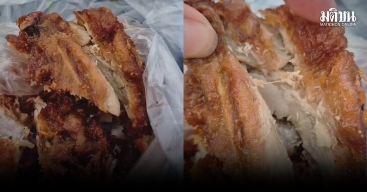 ไก่02