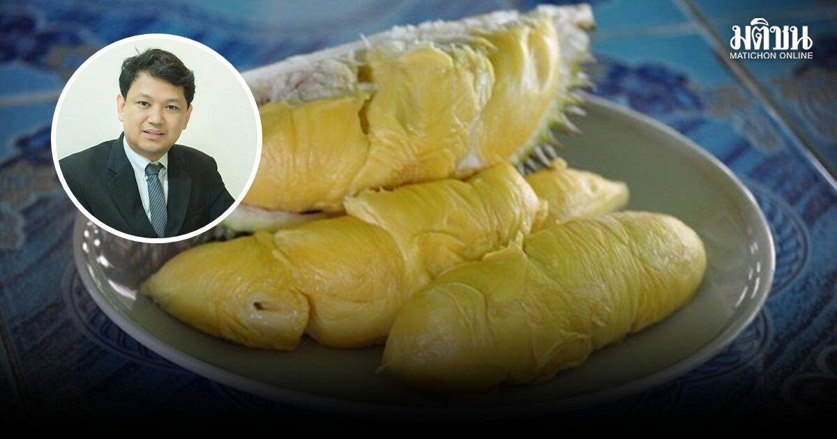 หมอแนะ กินทุเรียนอย่างไรไม่ให้น้ำตาลขึ้น เผยพันธุ์หวานน้อย-กินคู่ผลไม้รสเปรี้ยวชะลอการดูดซึมน้ำตาล