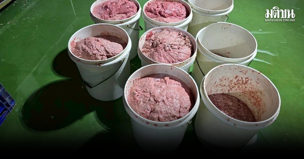 บุกทลายโรงงานเถื่อนผลิตหมูยอ-ลูกชิ้น ปลอมเลข อย. ส