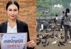 ร่างเทศบัญญัตินกพิราบ