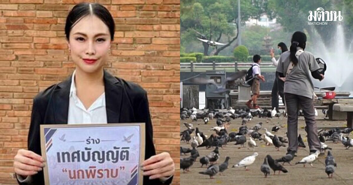 สท.ปชน. แห้ว ร่างเทศบัญญัตินกพิราบ หลังลงชื่อคนเดียว เตรียมล