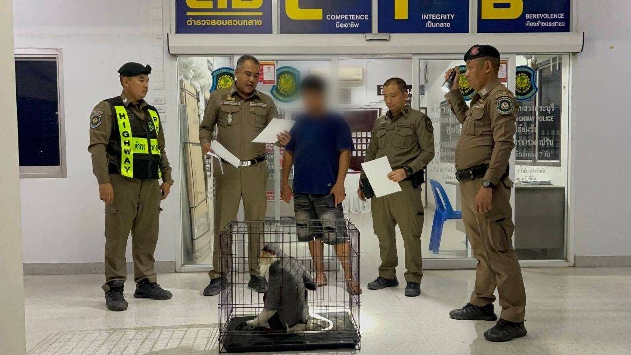 ลอบขนค่างห้าสี