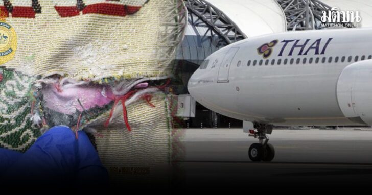 iyd11 wed การบินไทย