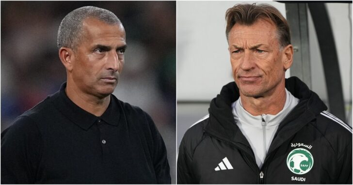 lamouchi-renard