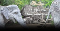 ตรัง อันดามัน เกตเวย์