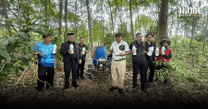 punsong_20260609_193503_0000