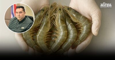กุ้ง