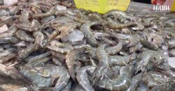 กุ้ง