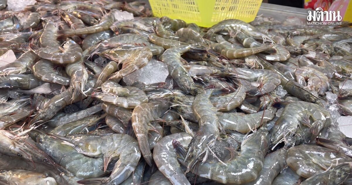 กุ้ง