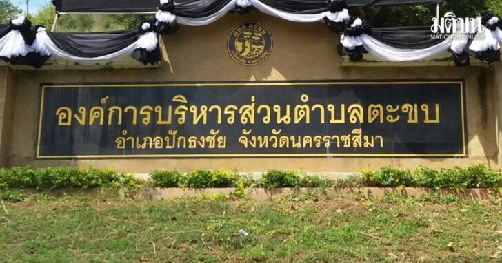 50548976