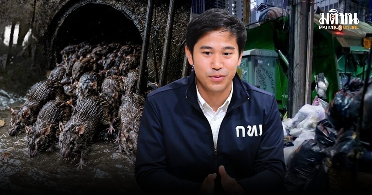 รองผู้ว่าฯหน้าใหม่สั่งการ ปั้น ‘สารวัตรสิ่งแวดล้อม’ ปราบหนู! จ่อใช้ ‘ใบอนุญาต’ กำกับร้านทิ้งขยะให้ถูก