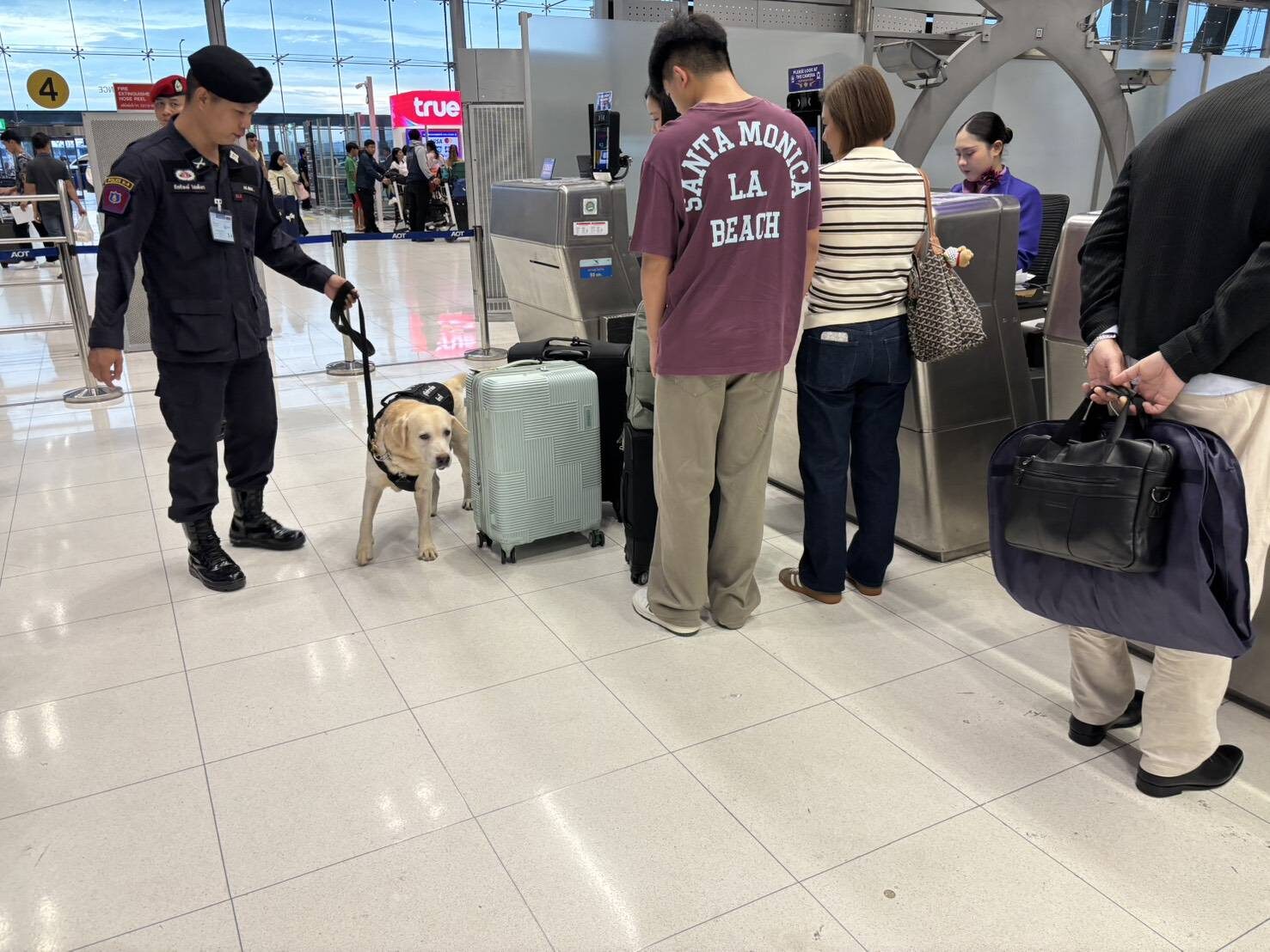 สุนัขตำรวจ