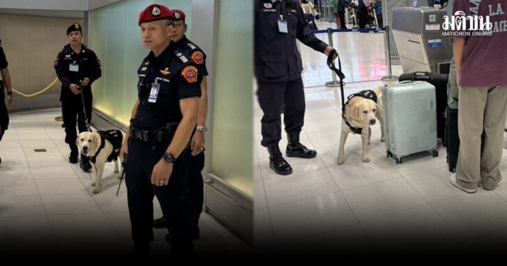 k9-132 สุนัขตำรวจ