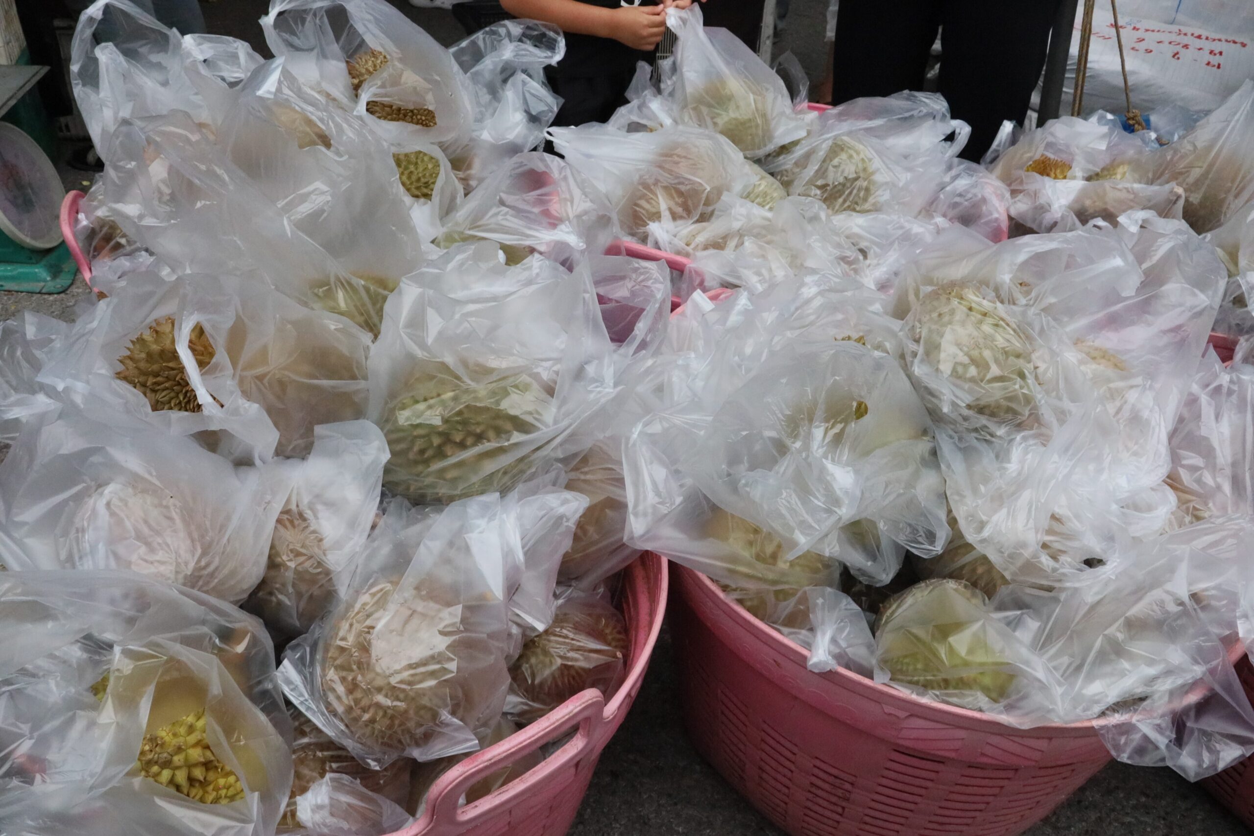 ทุเรียนลูกละ 19 บาท